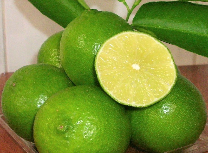 Trái chanh Limca