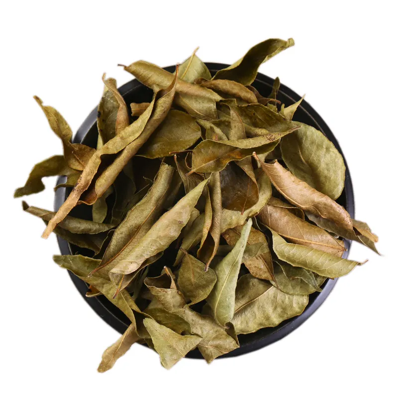 cây gia vị cà ri