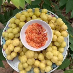 Cây Chùm Ruột Chua