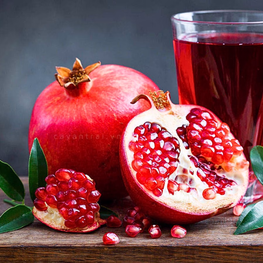 Cây lựu đỏ lùn Ấn Độ (Lựu đỏ Ai Cập)