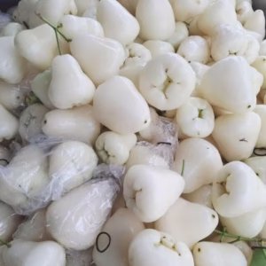 Cây Mận Trắng Sữa