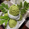 Cây Mãng Cầu Na Sầu Riêng