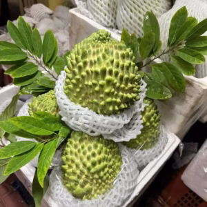 Cây Mãng Cầu Na Sầu Riêng