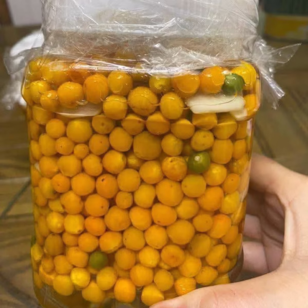 Cây Ớt Peru Charapita