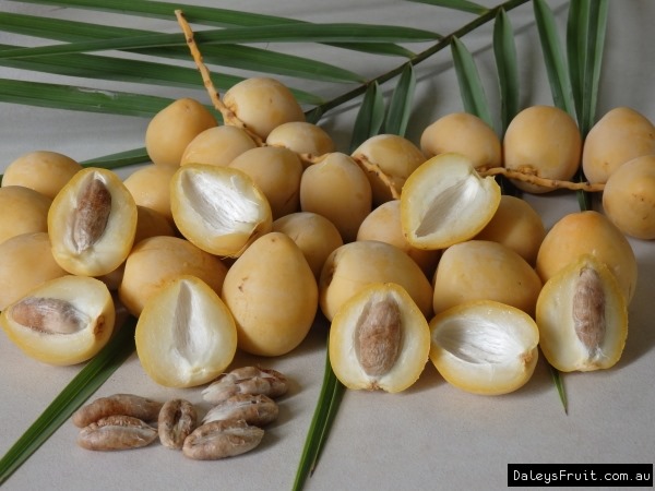 Trái Chà Là Barhee có màu vàng nhẹ