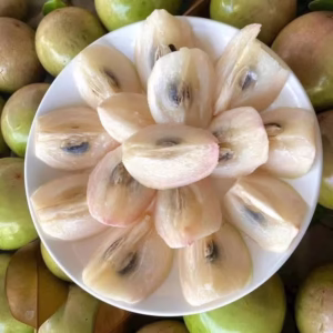 Cây Vú Sữa Lò Rèn