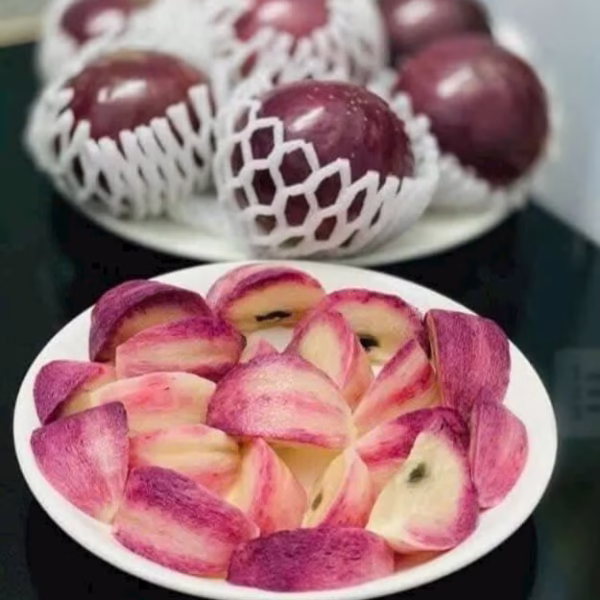 Cây Vú Sữa Mica